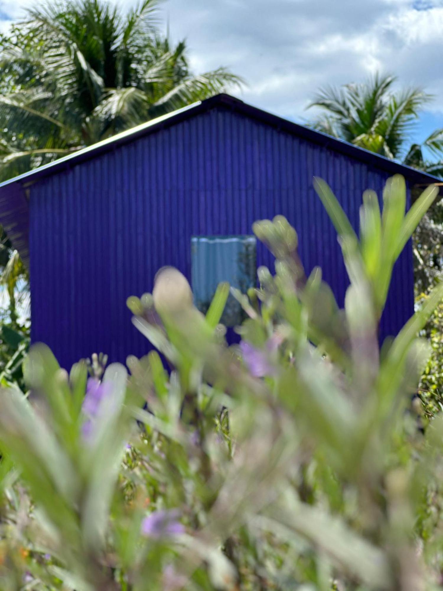 Hide Away Bungalows In Ben Tre City Bagian luar foto