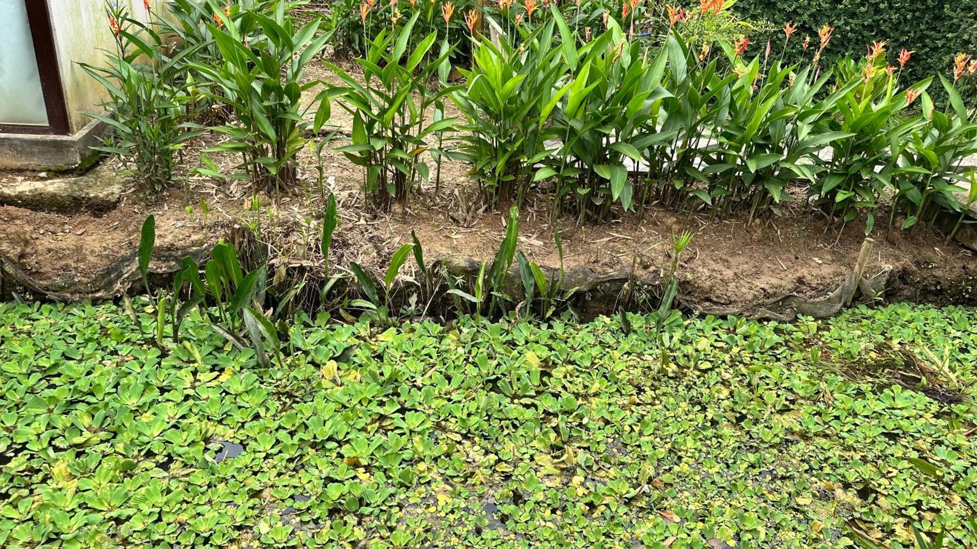Hide Away Bungalows In Ben Tre City Bagian luar foto